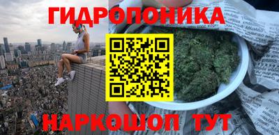 дживик Славгород