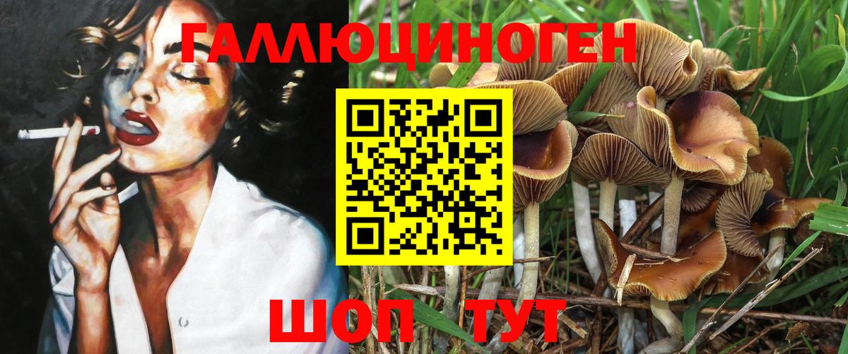 Галлюциногенные грибы Psilocybe Норильск